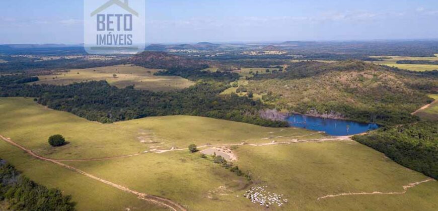 Fazenda Dupla Aptidão Lavoura e Pasto com 18.800 hectares | Zona Rural de Goiatins/ TO