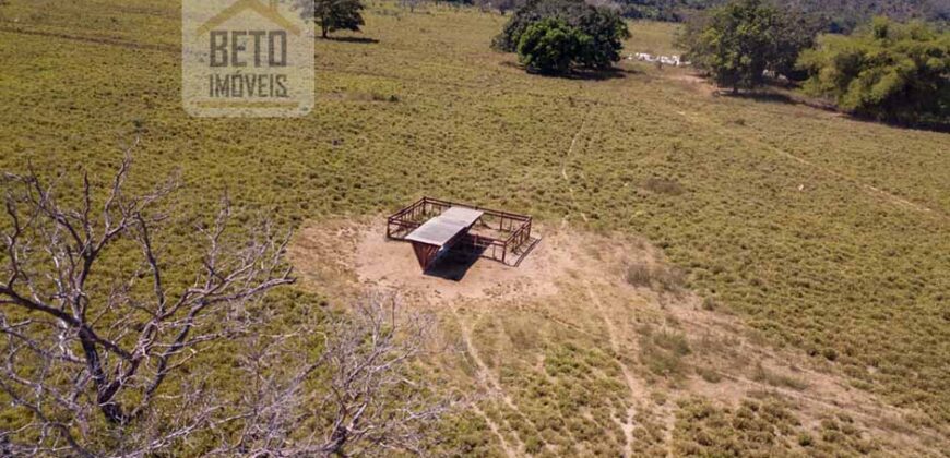 Fazenda Dupla Aptidão Lavoura e Pasto com 18.800 hectares | Zona Rural de Goiatins/ TO