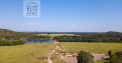 Fazenda Dupla Aptidão Lavoura e Pasto com 18.800 hectares | Zona Rural de Goiatins/ TO