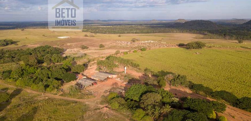 Fazenda Dupla Aptidão Lavoura e Pasto com 18.800 hectares | Zona Rural de Goiatins/ TO