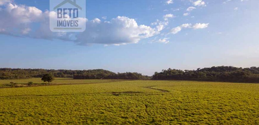 Fazenda Dupla Aptidão Lavoura e Pasto com 18.800 hectares | Zona Rural de Goiatins/ TO