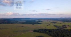 Fazenda Dupla Aptidão Lavoura e Pasto com 18.800 hectares | Zona Rural de Goiatins/ TO