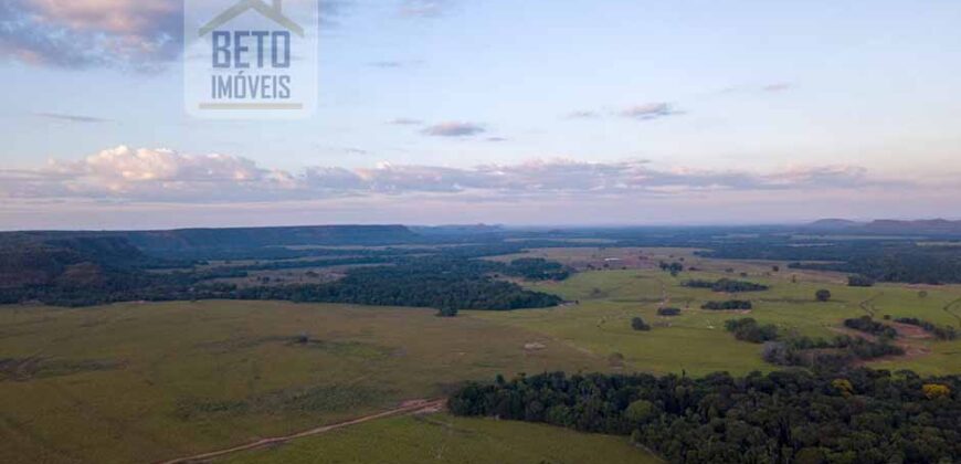 Fazenda Dupla Aptidão Lavoura e Pasto com 18.800 hectares | Zona Rural de Goiatins/ TO