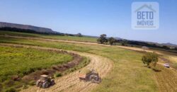 Fazenda Dupla Aptidão Lavoura e Pasto com 18.800 hectares | Zona Rural de Goiatins/ TO