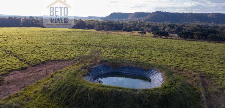 Fazenda Dupla Aptidão Lavoura e Pasto com 18.800 hectares | Zona Rural de Goiatins/ TO