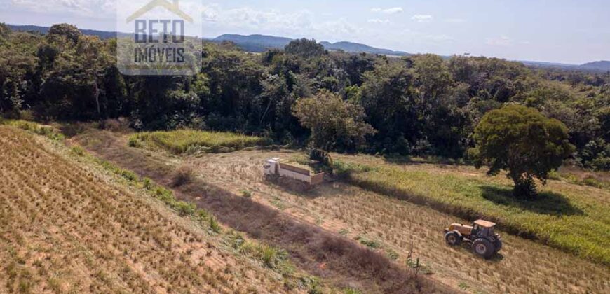 Fazenda Dupla Aptidão Lavoura e Pasto com 18.800 hectares | Zona Rural de Goiatins/ TO