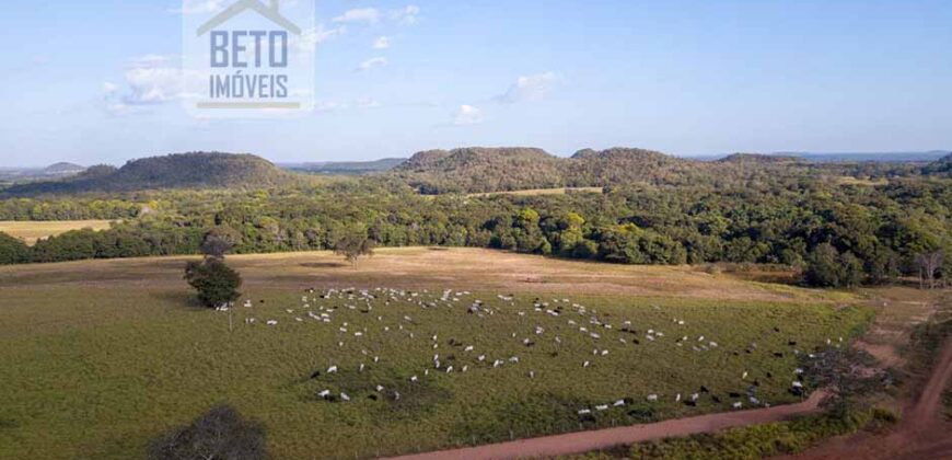 Fazenda Dupla Aptidão Lavoura e Pasto com 18.800 hectares | Zona Rural de Goiatins/ TO