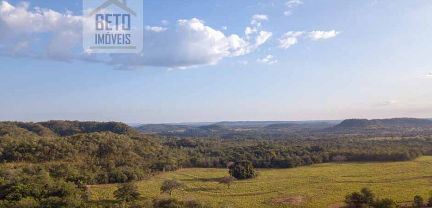 Fazenda Dupla Aptidão Lavoura e Pasto com 18.800 hectares | Zona Rural de Goiatins/ TO