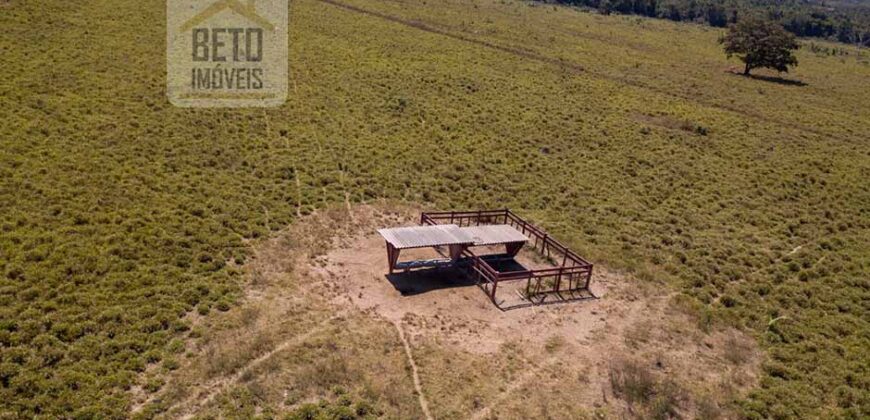 Fazenda Dupla Aptidão Lavoura e Pasto com 18.800 hectares | Zona Rural de Goiatins/ TO