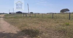 Oportunidade Única: Fazenda de 624 Alqueires Lavoura e Pasto | Cristalândia/ TO