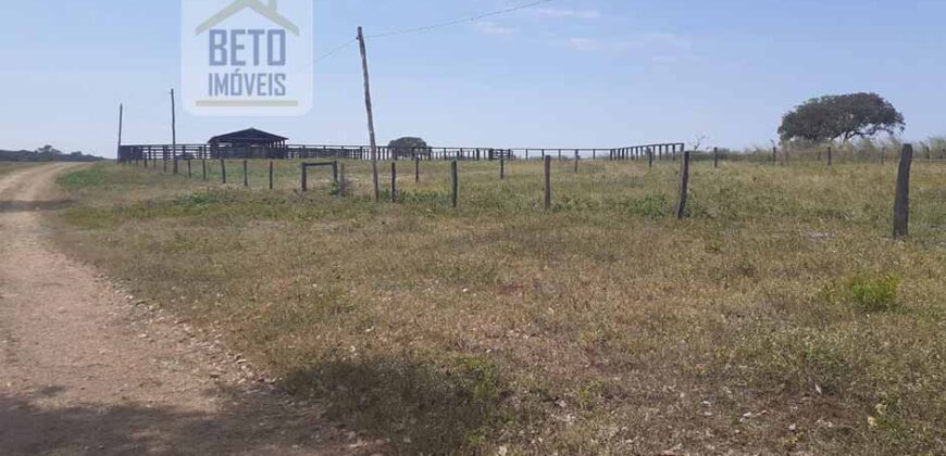 Oportunidade Única: Fazenda de 624 Alqueires Lavoura e Pasto | Cristalândia/ TO