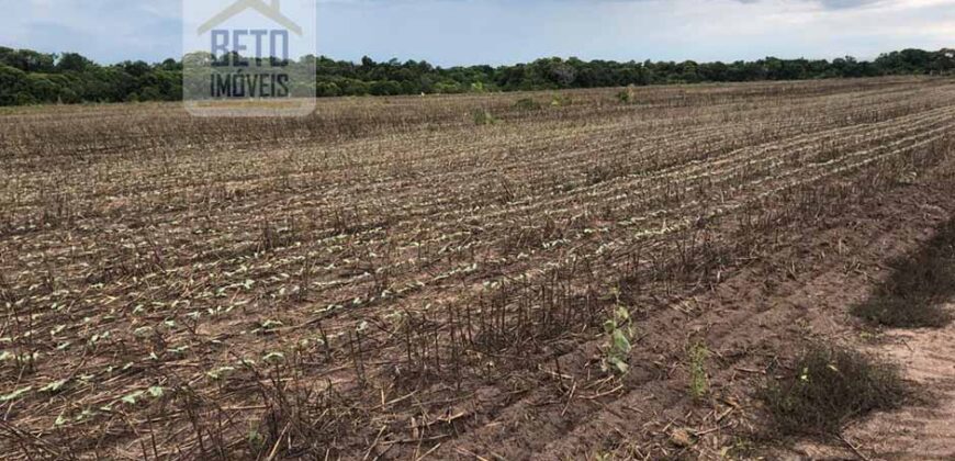 Oportunidade Única: Fazenda de 624 Alqueires Lavoura e Pasto | Cristalândia/ TO