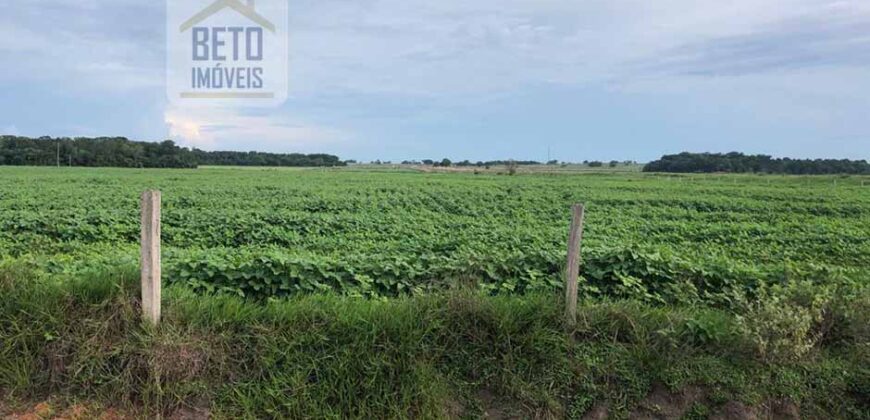 Oportunidade Única: Fazenda de 624 Alqueires Lavoura e Pasto | Cristalândia/ TO