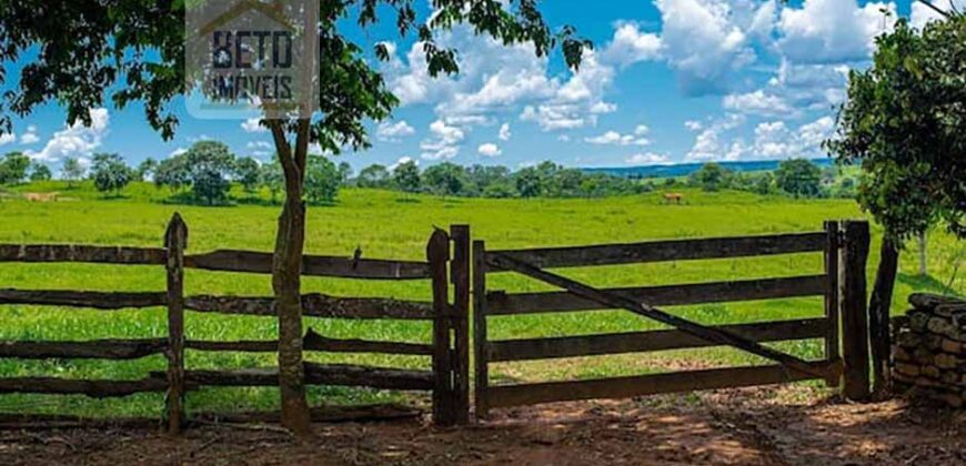 Fazenda Dupla Aptidão com represa, nascentes e 8 mil cabeças de gado | Uruará/ PA