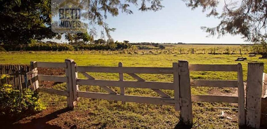 Fazenda Dupla Aptidão com represa, nascentes e 8 mil cabeças de gado | Uruará/ PA