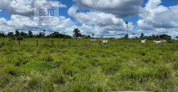 Fazenda Dupla Aptidão com represa, nascentes e 8 mil cabeças de gado | Uruará/ PA