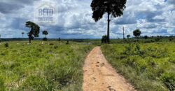 Fazenda Dupla Aptidão com represa, nascentes e 8 mil cabeças de gado | Uruará/ PA