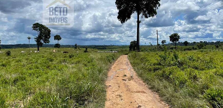 Fazenda Dupla Aptidão com represa, nascentes e 8 mil cabeças de gado | Uruará/ PA