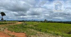 Fazenda Dupla Aptidão com represa, nascentes e 8 mil cabeças de gado | Uruará/ PA