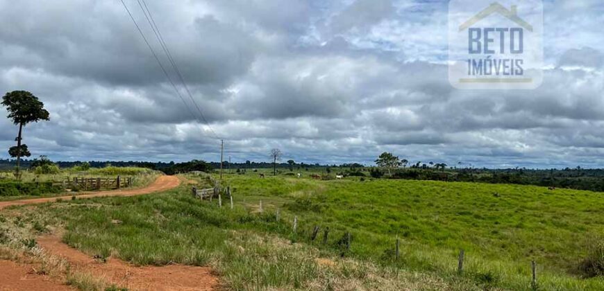 Fazenda Dupla Aptidão com represa, nascentes e 8 mil cabeças de gado | Uruará/ PA