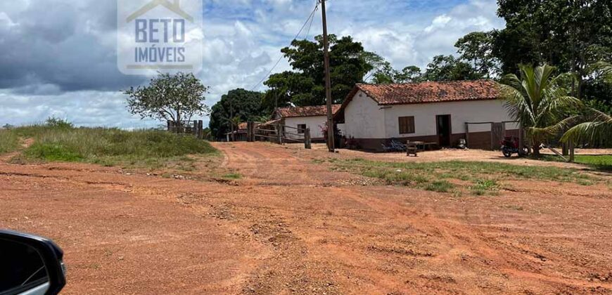 Fazenda Dupla Aptidão com represa, nascentes e 8 mil cabeças de gado | Uruará/ PA