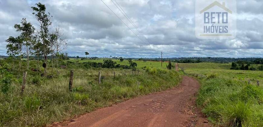 Fazenda Dupla Aptidão com represa, nascentes e 8 mil cabeças de gado | Uruará/ PA