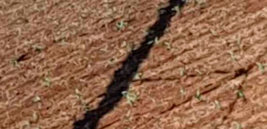 Excelente fazenda para lavoura e pasto com 500 alqueires Toda plana | Peixe/ TO
