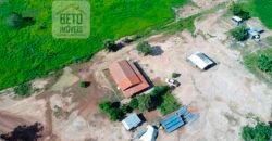 Excelente fazenda para lavoura e pasto com 500 alqueires Toda plana | Peixe/ TO