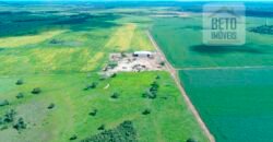Excelente fazenda para lavoura e pasto com 500 alqueires Toda plana | Peixe/ TO