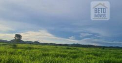 Espetucular Fazenda para Pastejo Rotacionado toda estruturada e maquinários | Vila Rica/ MT