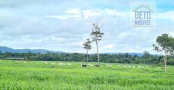 Espetucular Fazenda para Pastejo Rotacionado toda estruturada e maquinários | Vila Rica/ MT