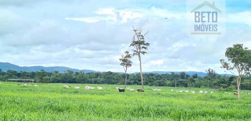 Espetucular Fazenda para Pastejo Rotacionado toda estruturada e maquinários | Vila Rica/ MT