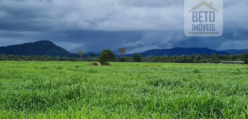 Espetucular Fazenda para Pastejo Rotacionado toda estruturada e maquinários | Vila Rica/ MT