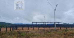 Espetucular Fazenda para Pastejo Rotacionado toda estruturada e maquinários | Vila Rica/ MT