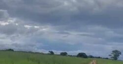 Excelente Fazenda de pecuária com aptidão pra agricultura | Região de barra do Garça/ MT