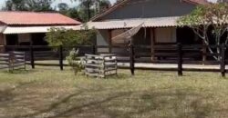 Excelente Fazenda de pecuária com aptidão pra agricultura | Região de barra do Garça/ MT