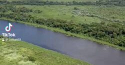 Fazenda à Venda com 60 mil hetcaters toda cercada, beira Rio Paraguai | Cáceres/ MT