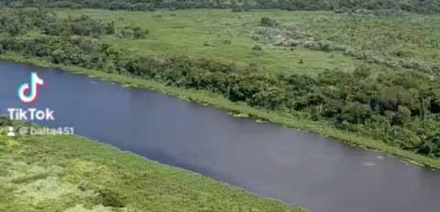 Fazenda à Venda com 60 mil hetcaters toda cercada, beira Rio Paraguai | Cáceres/ MT