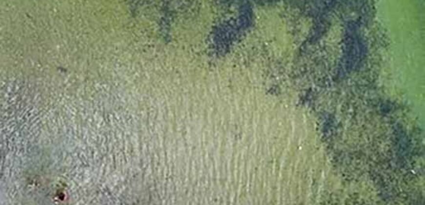 Oportunidade Única: Últimos Lotes Exclusivos de Frente para a Lagoa | Cabo Frio/ RJ: